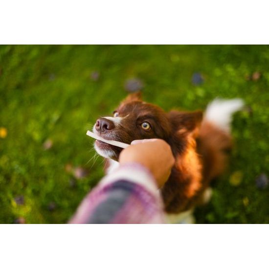 Løype Tyčinky Quacky bounty