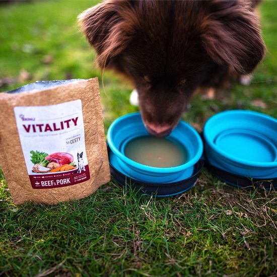 VITALITY na cesty vývar s kolagenem a CBD olejem 200 g