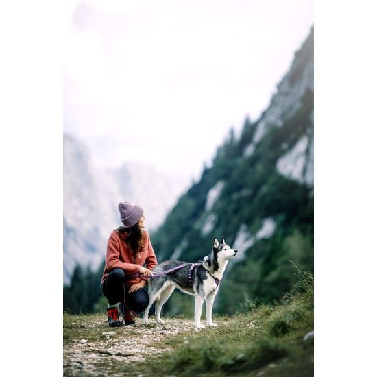 Woolly Wolf Northern Lights Harness