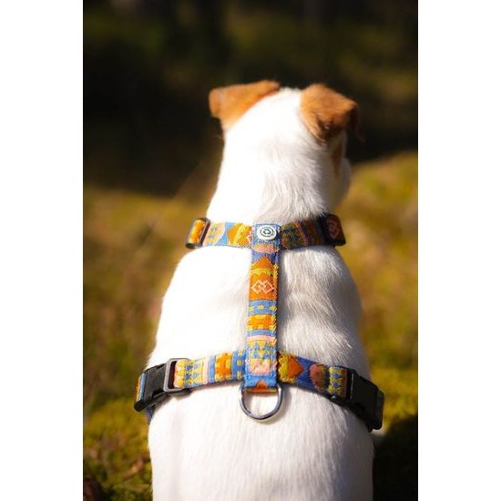 Woolly Wolf Nightless Night Harness
