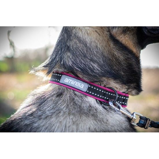 Aminela klasik obojek Sport & City 25mm/35-70cm malinová