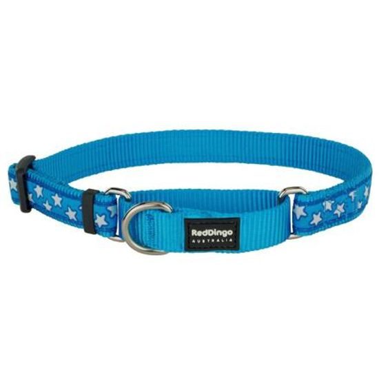 Red Dingo Obojek polostahovací 2,5cm x 41-62cm