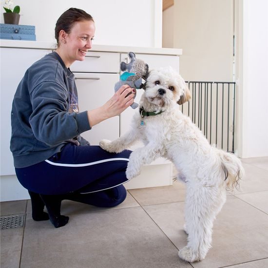 DogSpace Lucky prodlužovací brána kovová