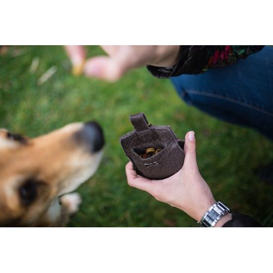 FUNKY DOG Hnědý pamlskovník Piňamka