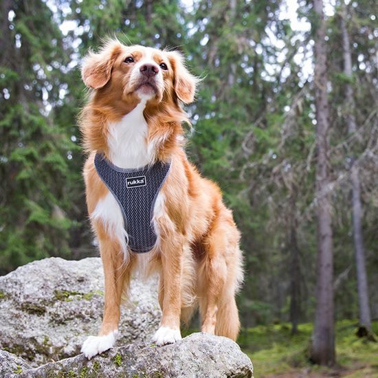 Rukka Comfort Air postroj