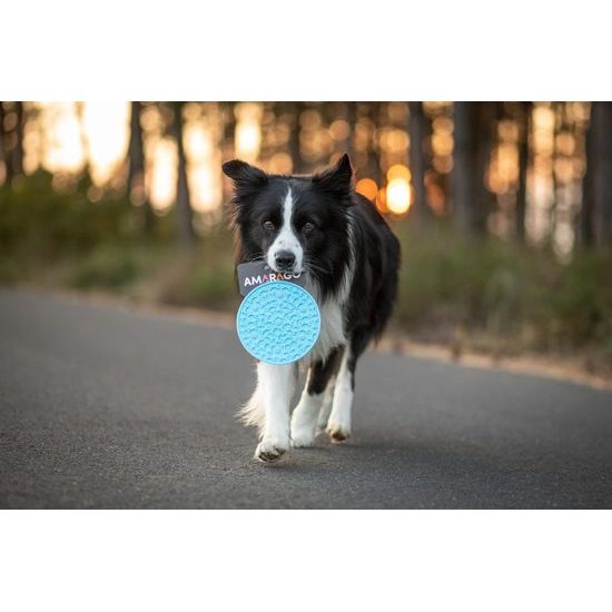 Amarago lízací podložka kruh modrý