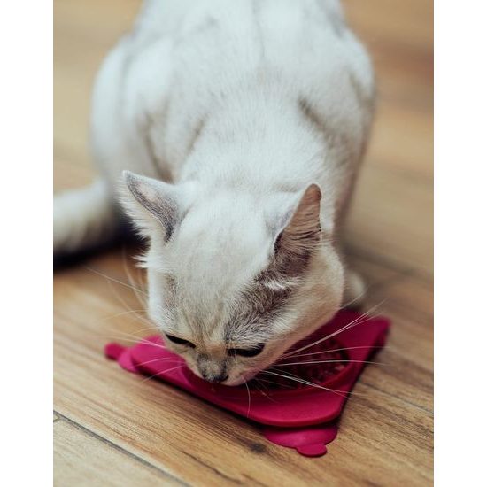 Amarago lízací podložka trojúhelník růžový