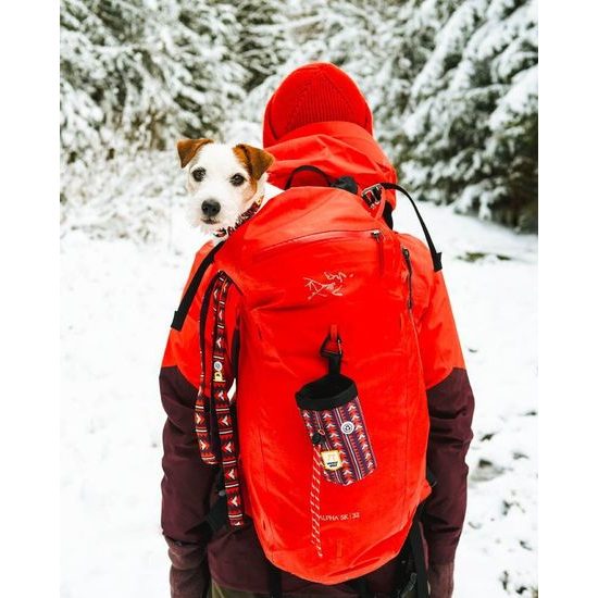 Woolly Wolf Polar Night Leash