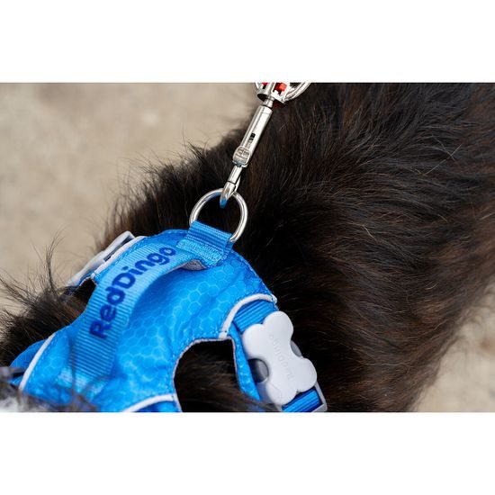 Red Dingo postroj Sport Electric Blue 25 mm x 75-112 cm