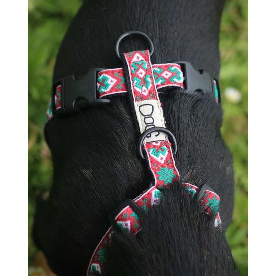 FUNKY DOG Postroj pro malé psy z bavlněných popruhů