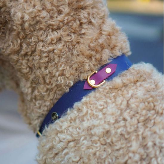 Bura Obojek bordó-námořnická modř