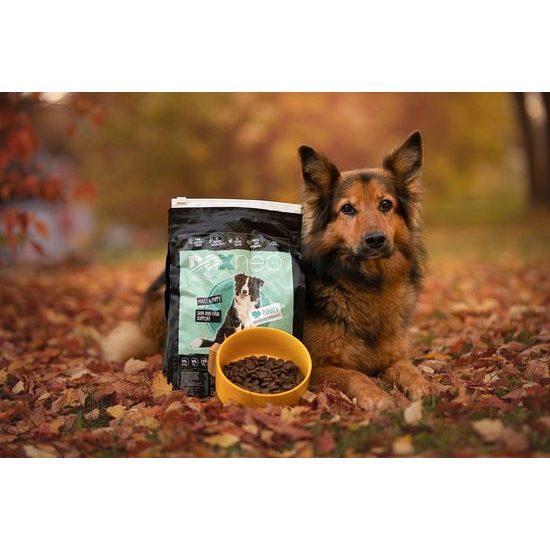 Doxneo Turkey krůtí bez obilovin 2kg