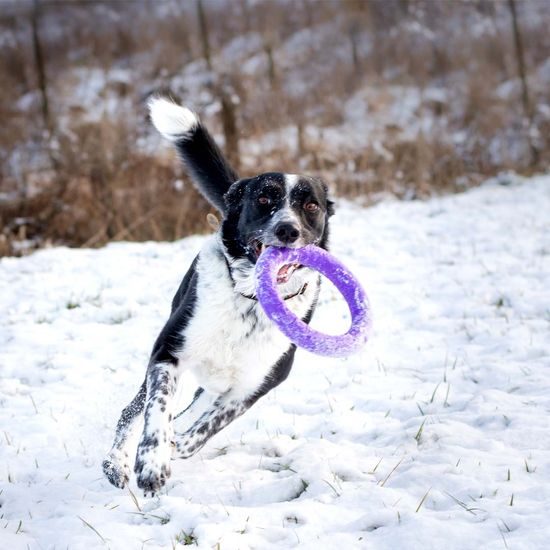 Puller s českým komiksem 2ks
