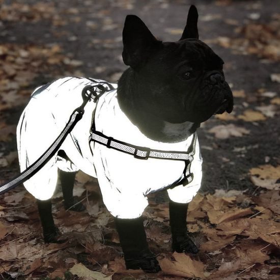 WAUDOG Pláštěnka/overal pro psy Reflective