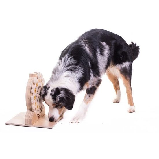 My Intelligent Pets Dřevěný hlavolam Clock