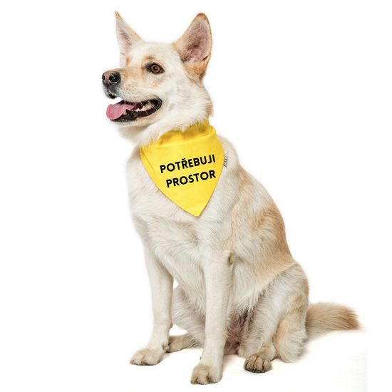 FUNKY DOG Žlutý šátek pro psa s nápisem