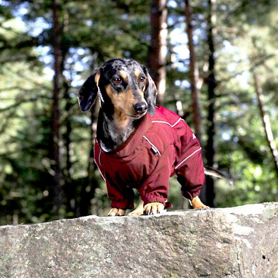 Rukka Thermal Overall Short Legs zimní obleček krátkonohý