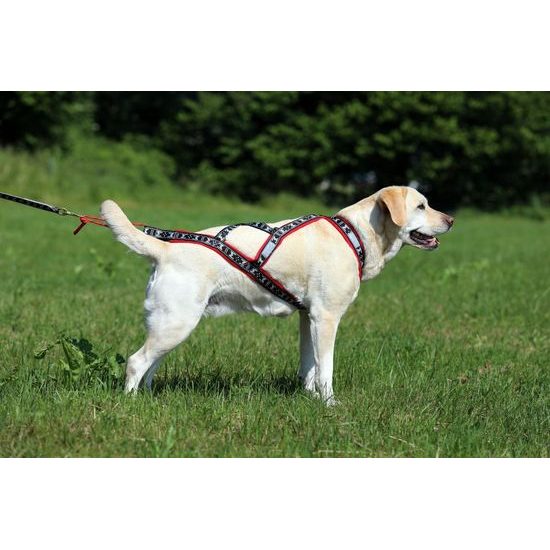 ManMat postroj RUN LONG