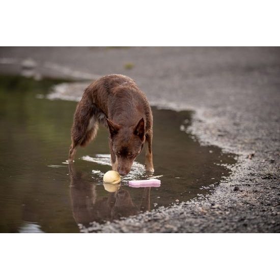 Amarago eco friendly hračka pro psy kost malá žlutá 13cm/70g