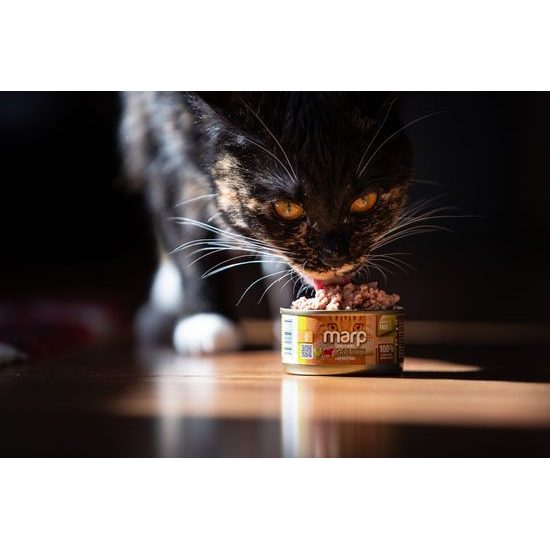Marp Holistic Plus konzerva pro kočky Kuřecí paté s hovězími kousky 24x70g