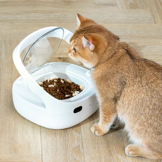 Petoneer NutriCare Feeder