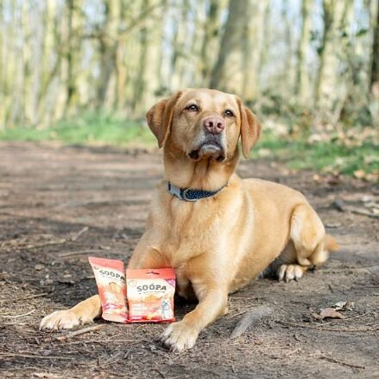 Soopa Pets Dentální tyčinky Soopa s mangem a malinou 100 g