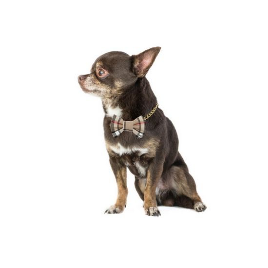 FUNKY DOG Hnědý kostkovaný motýlek Burberry