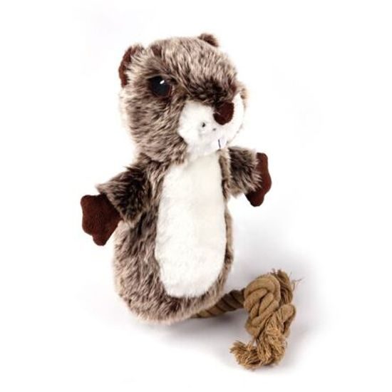 AFP Classic Bobr Justin