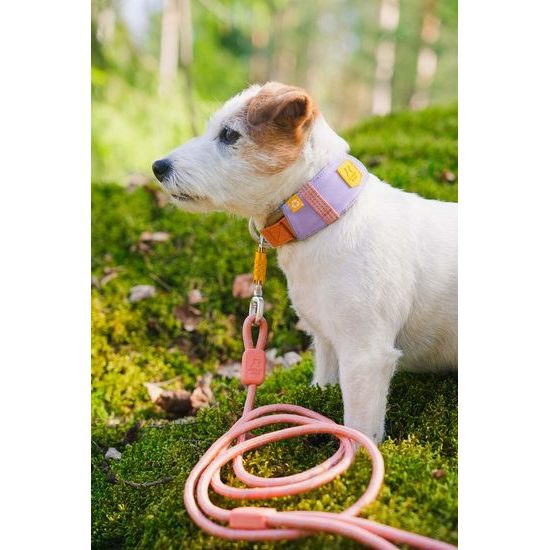 Woolly Wolf Alpha 360 Collar