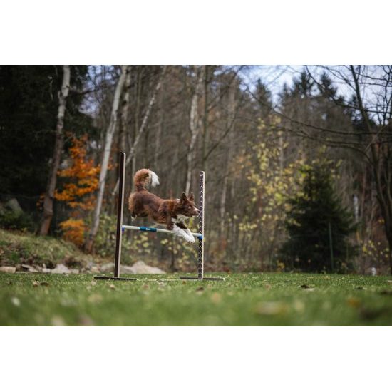 Løype Skoková překážka Hopsee Up