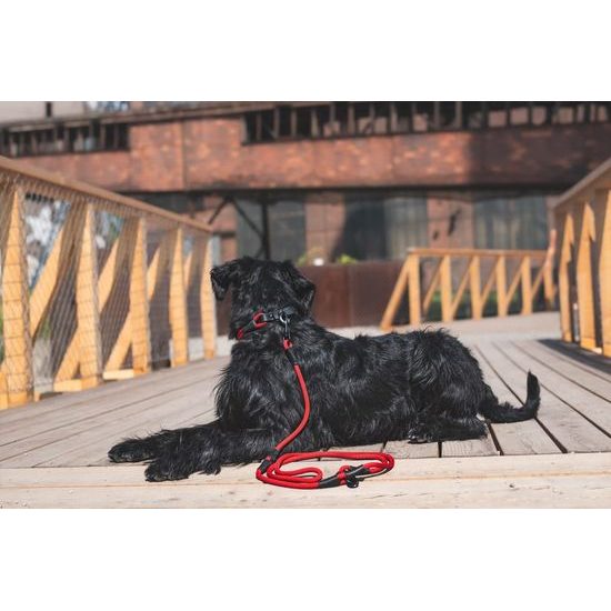 Aminela Vodítko lano s kůží přepínací černé kování červená