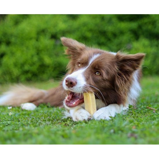 Marp Holistic Horská tyčinka L (70-79g)