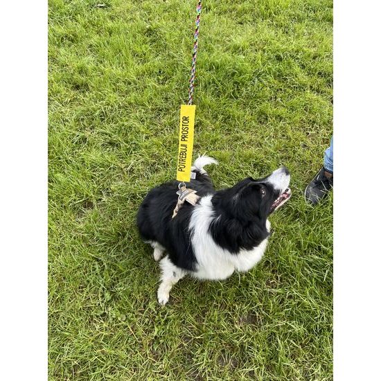 FUNKY DOG Žlutý návlek na vodítko