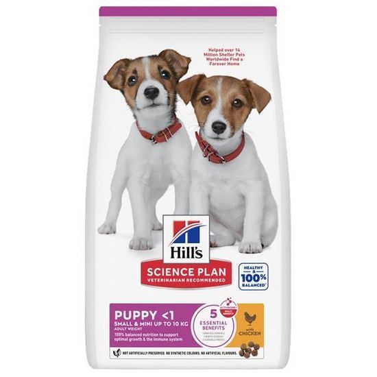 Hill's Science Plan Canine Puppy Small & Mini Chicken 6 kg