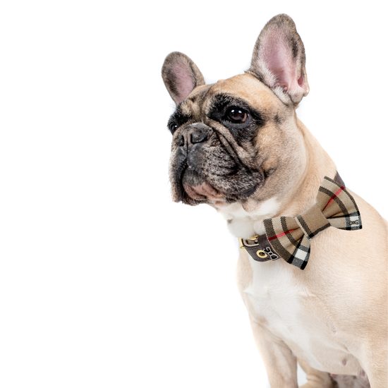 FUNKY DOG Hnědý kostkovaný motýlek Burberry