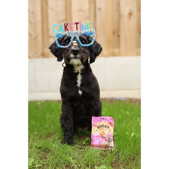 Soopa Pets Soopa Healthy Bites Cupcake s jahodami a kokosem 50 g