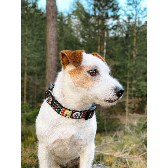 Woolly Wolf Woodland Collar