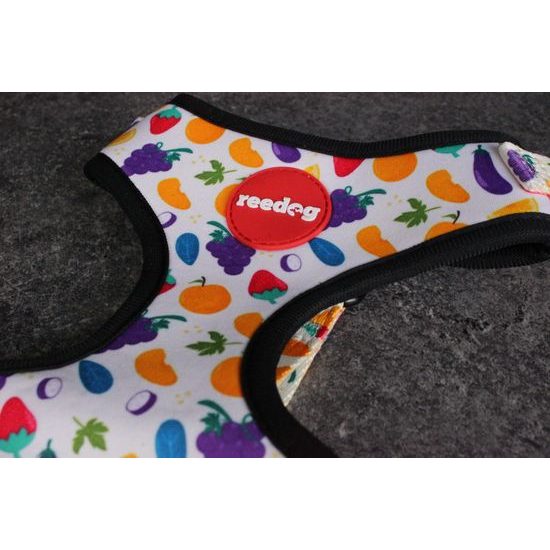 Reedog Kšíry pro psa FRUIT