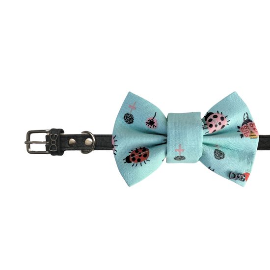 FUNKY DOG Psí motýlek tyrkysový s barevnými broučky