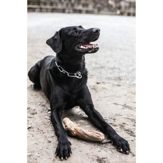 Chewies Kávové dřevo Chewies na žvýkání M