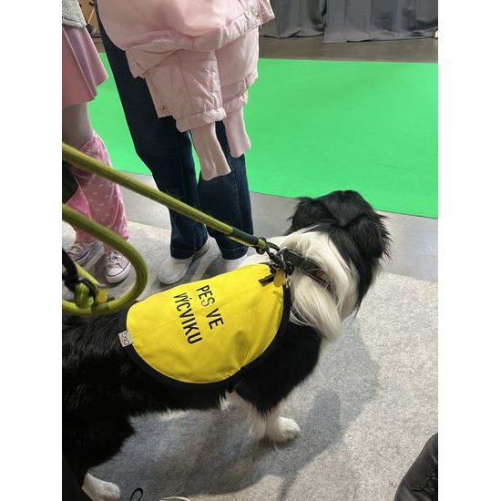 FUNKY DOG Žlutá signalizační vesta pro psy