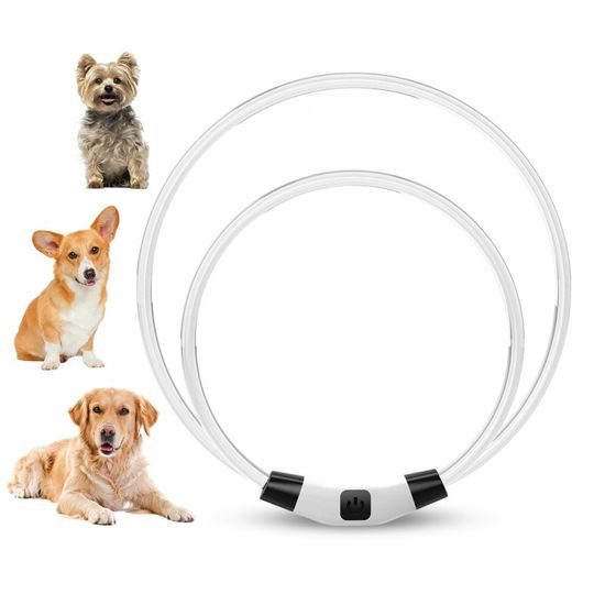 BENTECH Svítící LED obojek Bentech DC213 RGB