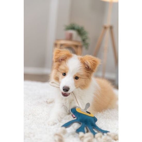 Trixie Monster příšerka na laně 47 cm hračka pro psy 100% pravá kůže/lano petrolejová