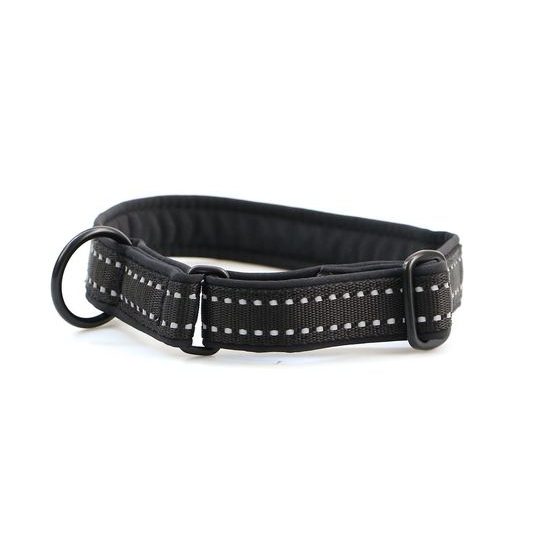 Aminela klasik obojek Sport & City 25mm/35-70cm černá