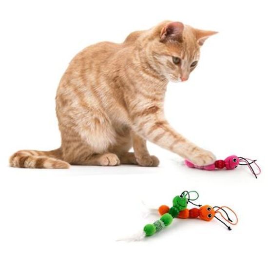 AFP Veselý had s peříčky AFP Modern Cat