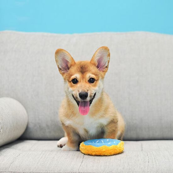 ZippyPaws Mini Donutz