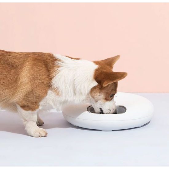 Petwant F6 automatický dávkovač krmiva na suché i vlhké krmivo 6 porcí