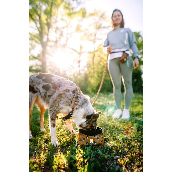 Woolly Wolf Sea To Summit Harness