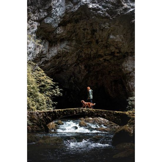 Woolly Wolf Roam Harness