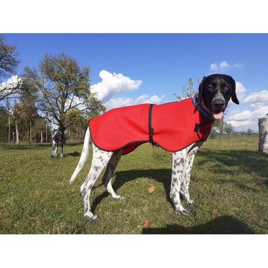 ManMat VYSOUŠECÍ dečka pro psa